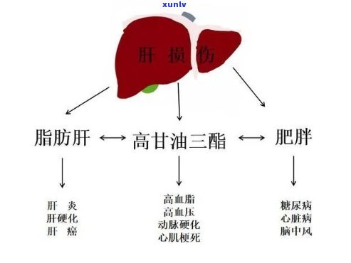 冰岛古树春尖茶价格表：详细信息与图片全览