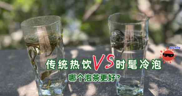 哪种茶适合做冷泡茶饮？从绿茶、乌龙茶到普洱茶，全面解析！