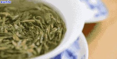 喝茶能缓解脂肪肝吗？知乎用户分享经验与看法