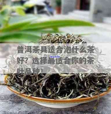 茶用什么壶泡？不同茶叶种类需配对合适茶具，普洱茶专用壶更佳！