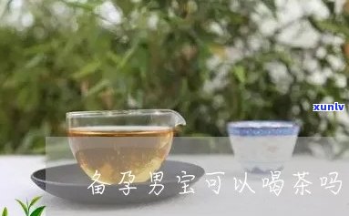 喝茶易生男孩吗？科学解析生育性别与饮茶关系