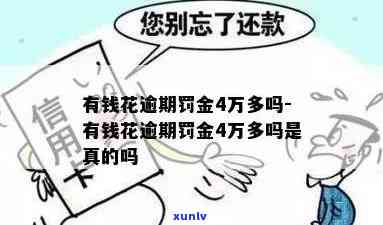 询问有钱花逾期罚金金额？全网最全解答在此！