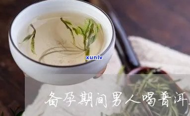 男性备孕是否适合喝茶？知乎上的观点解析