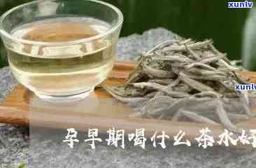 孕早期可以喝茶水吗-孕早期可以喝茶水吗有影响吗