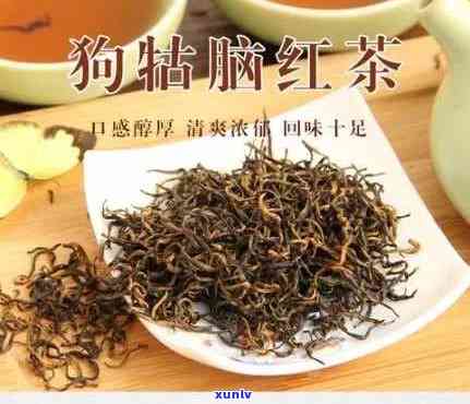 狗牯脑红茶怎么冲泡，教你如何冲泡美味的狗牯脑红茶