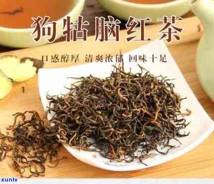 狗牯脑红茶泡茶 *** -狗牯脑红茶怎么冲泡