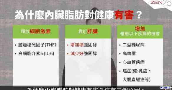 内脏脂肪减肥茶，减少内脏脂肪，尝试我们的内脏脂肪减肥茶！