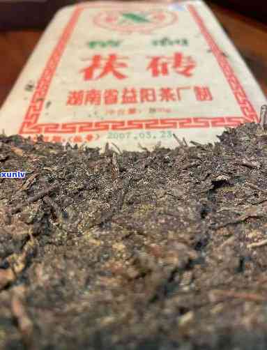 益阳茶厂哪款茯砖好喝，「推荐」益阳茶厂的茯砖茶，哪款最值得品尝？