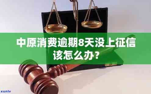 中原消费逾期八天会产生何种结果？怎样解决？