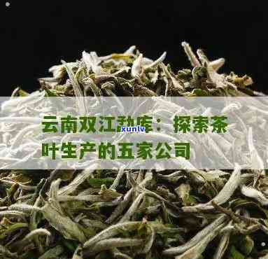 云南双江勐库茶厂官网：了解排名及产品信息