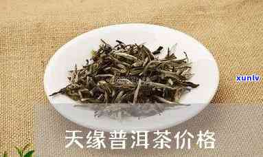 记天缘普洱茶价格，熟悉记天缘普洱茶价格，品味古韵茗香！