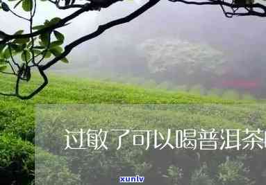 过敏期间可以喝茶吗-过敏期间可以喝茶吗?