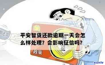 平安贷款逾期一天会如何影响下次申请？