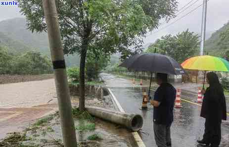 雨水泡茶有什么好处-雨水泡茶有什么好处和坏处