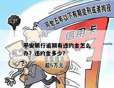 2021年信用卡逾期立案新标准：逾期量刑与立案细节详解