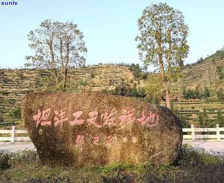 平安银行逾期会上吗，平安银行：逾期还款是否会影响您的信用记录？