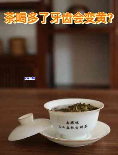 天马古树宫廷普洱茶：品种、产地、 *** 工艺与品饮 *** 全面解析