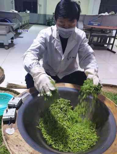 中茶湖北省桥茶厂部，探访湖北桥茶厂：传统工艺与现代科技的完美结合