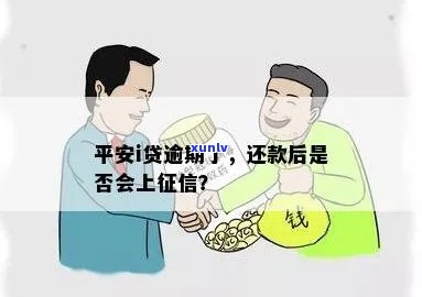 大号的茶怎么样：大号普洱茶官方网站上的普洱生茶好不好喝？