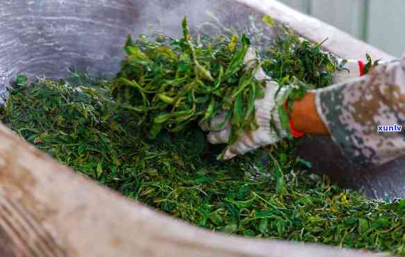 云南大理老林茶厂，品尝云南大理的老林茶厂茶叶，感受地道的云南风味