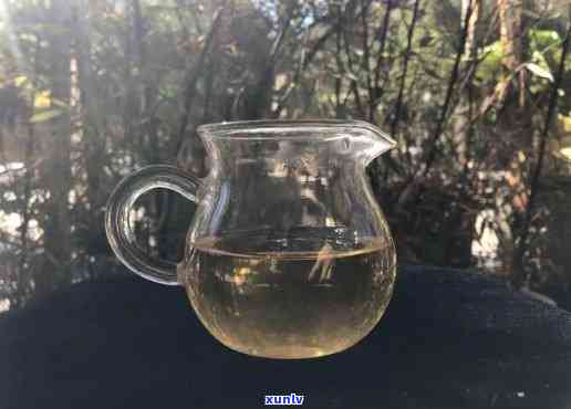 云南大理老林茶厂，品尝云南大理的老林茶厂茶叶，感受地道的云南风味