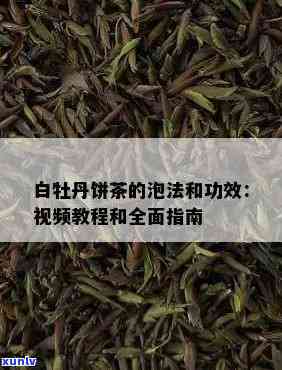 白牡丹茶饼冲泡 *** 详解：步骤、时间和技巧视频教程