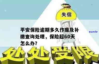 信用卡逾期证明办理全攻略：如何准备材料、解决逾期影响及更多实用指南