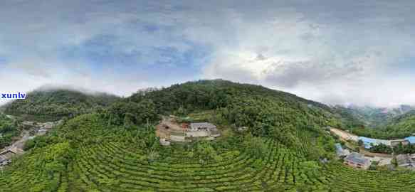 平花台茶厂全景图片高清展示