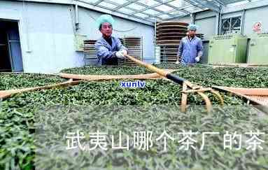 武夷山知名茶厂，探访武夷山知名茶厂，揭秘制茶工艺与品质保障