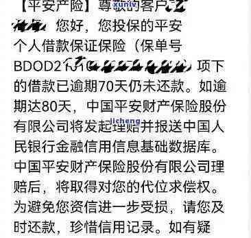 小青柑普洱茶的全面功效与作用解析：如何改善健、调节消化和提升心情？