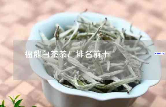 福鼎茶厂那家最有名-福鼎茶厂有哪些