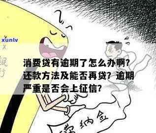 怎样应对消费贷款逾期两天的结果？