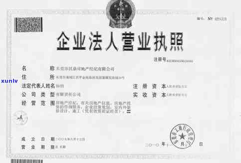 深圳市玉龙地产顾问：法人及公司评价