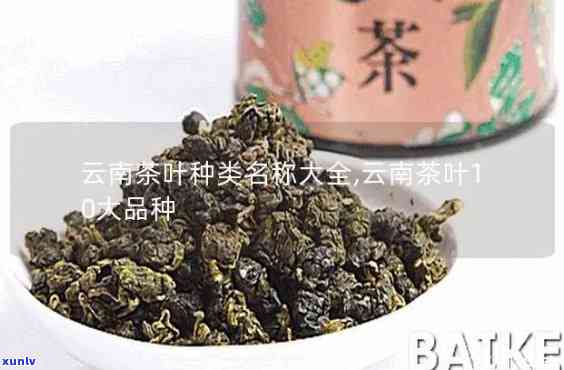 昆明茶厂生产过的茶叶种类全揭秘