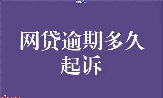 厦门云香茶叶怎么样好喝吗，厦门云香茶叶：口感如何，是否值得一试？