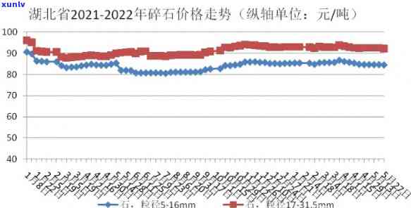 40元一斤普洱茶饼：如何挑选与品饮，茶叶品质与价格关系解析