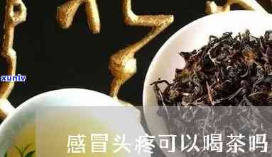 感冒头疼可以喝茶吗-感冒头疼可以喝茶吗?