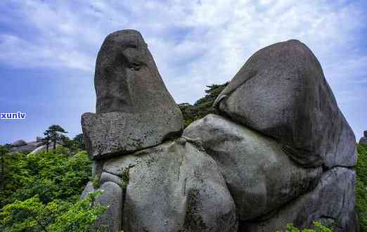 探索神秘天柱山：奇石景观与阅读体验