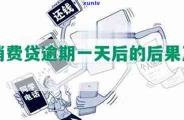 2021年招商信用卡逾期新政策与上时间：逾期率、规定详解