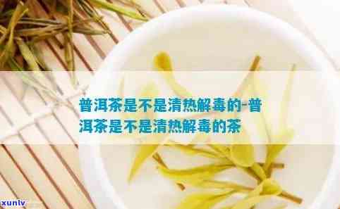 喝茶叶能清热解吗，探讨茶叶的清热解功效