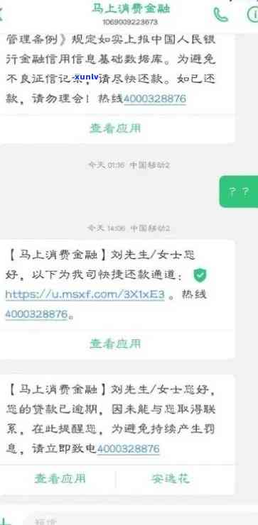 全面了解天马一号陈皮普洱：品质、口感、功效与泡法，解答您的所有疑问