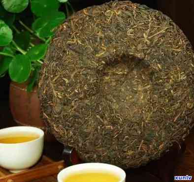 老树茶饼属于什么茶类，探秘老树茶饼：它属于哪种茶类？