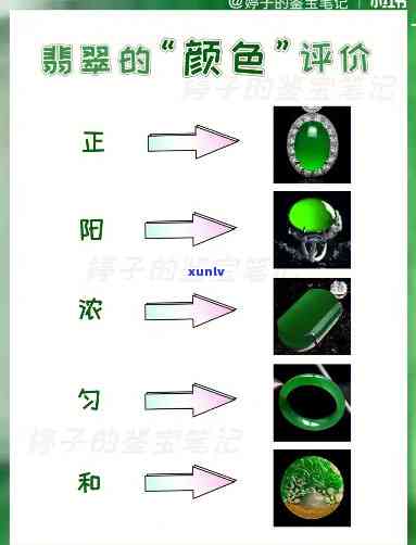 各色翡翠价格对比，全面解析：不同颜色翡翠的价格差异与对比