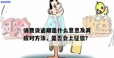 消费贷逾期指什么意思？详解贷款违约及其结果