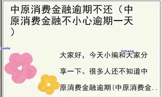 信用卡逾期怎么办？坐牢期间及刑满释放人员如何办理分期还款？