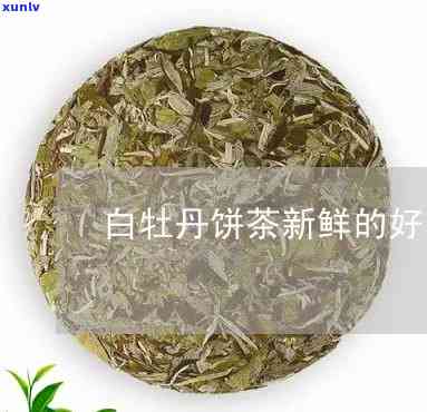 茶饼白牡丹是什么茶-茶饼白牡丹是什么茶叶