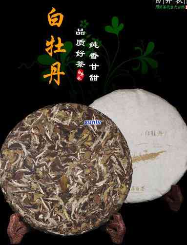 茶饼白牡丹是什么茶-茶饼白牡丹是什么茶叶