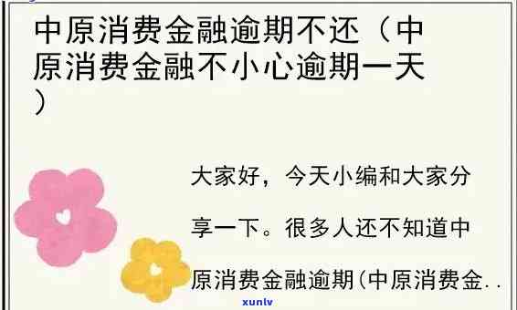 中原消费逾期90天图片，警惕！中原消费出现逾期90天，相关图片曝光