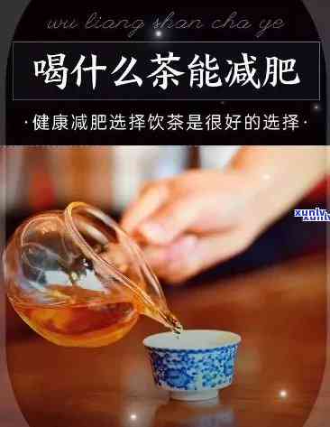 喝茶能减少脂肪吗？科学解析女性减肥效果