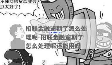 招联消费贷款逾期-招联消费贷款逾期会怎么样